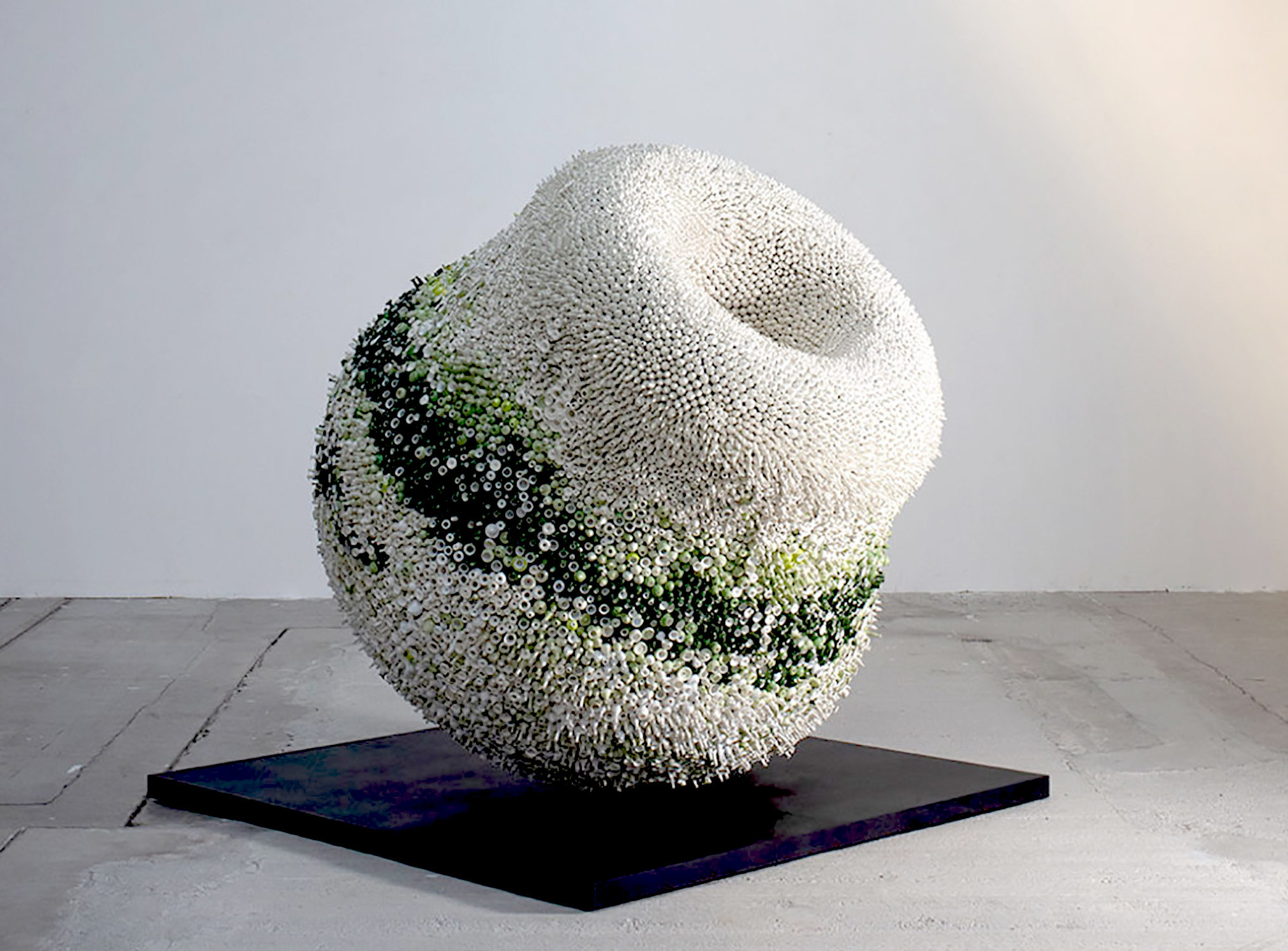 Photos ©Anthony Girardi